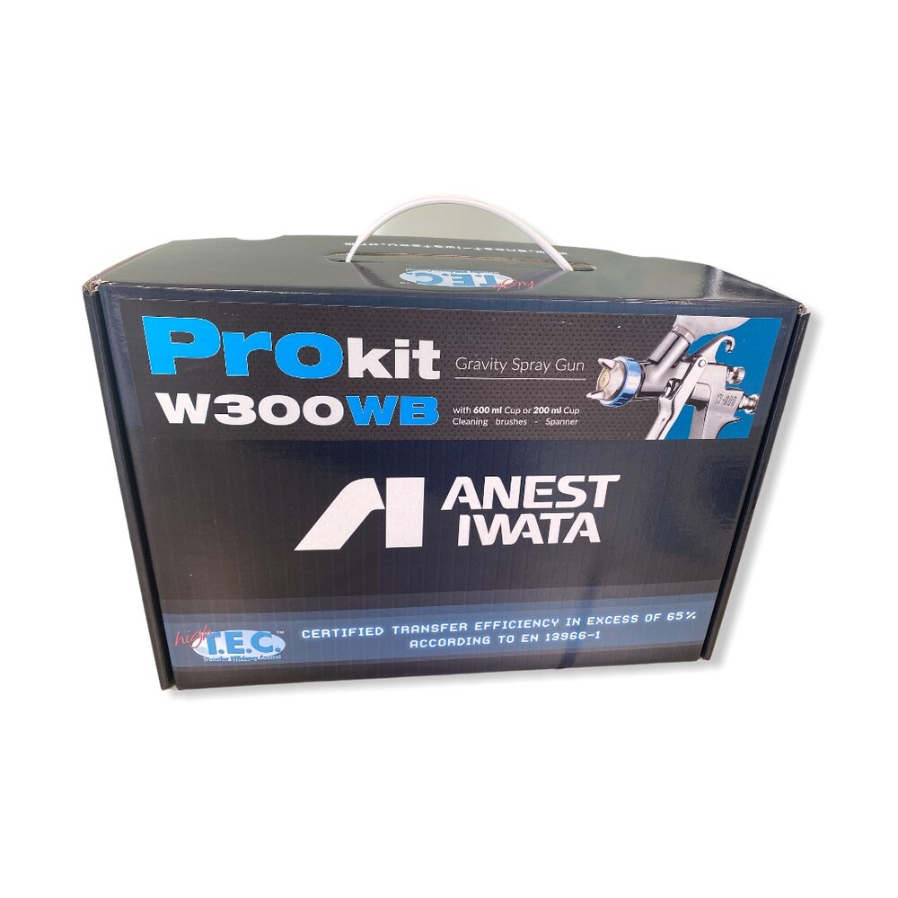 ANEST IWATA W300WB-101G